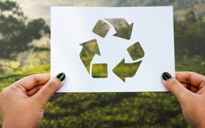 Dia mundial reciclaje 2024