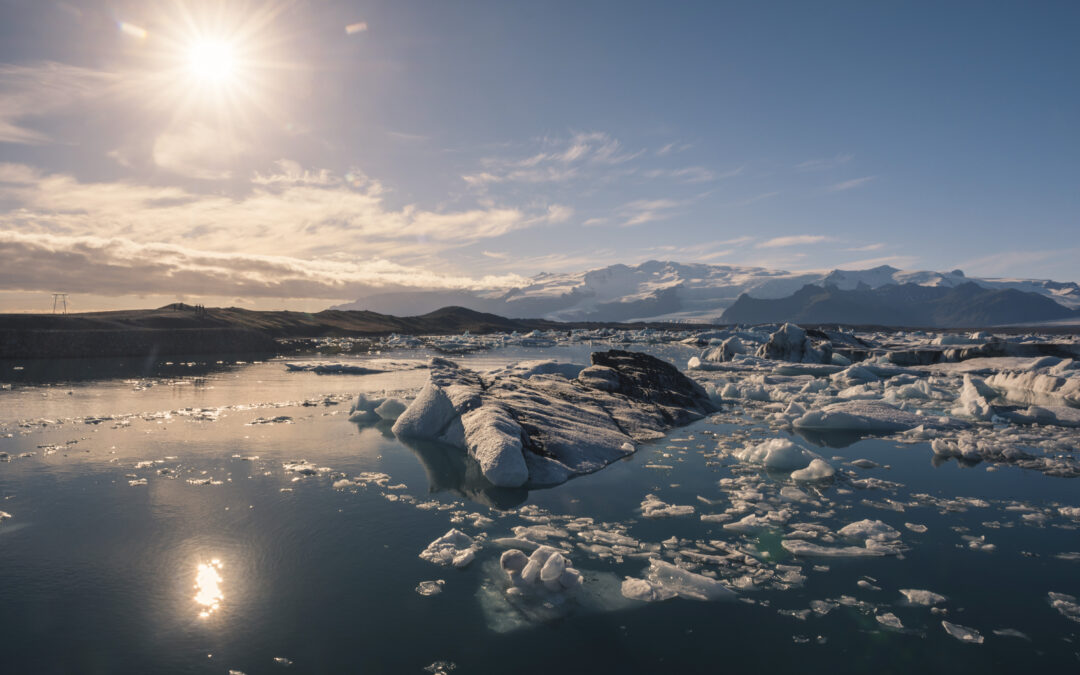 Día internacional contra el cambio climático.