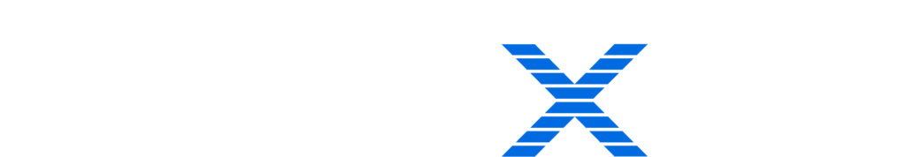 Logo IT NEXUS