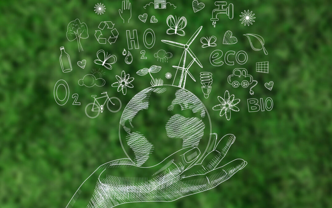 Celebramos el Día del Medio Ambiente