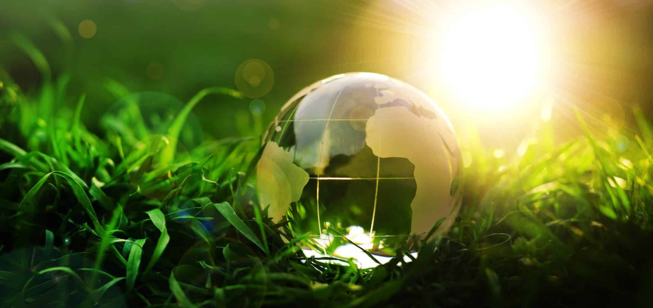Bola de vidrio sobre un campo