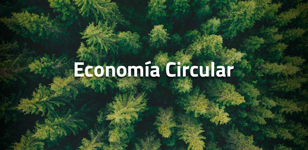Economía Circular
