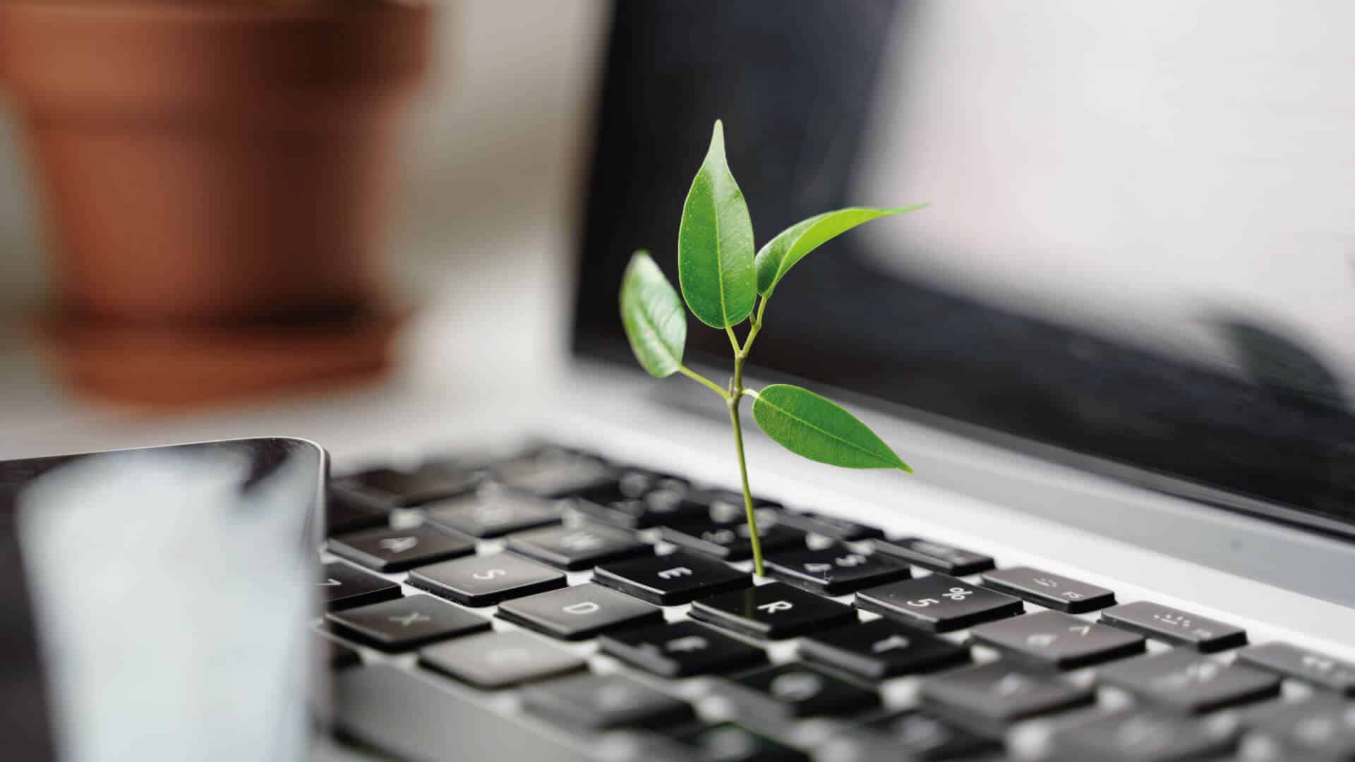 Nuevo marco medioambiental para Workplace